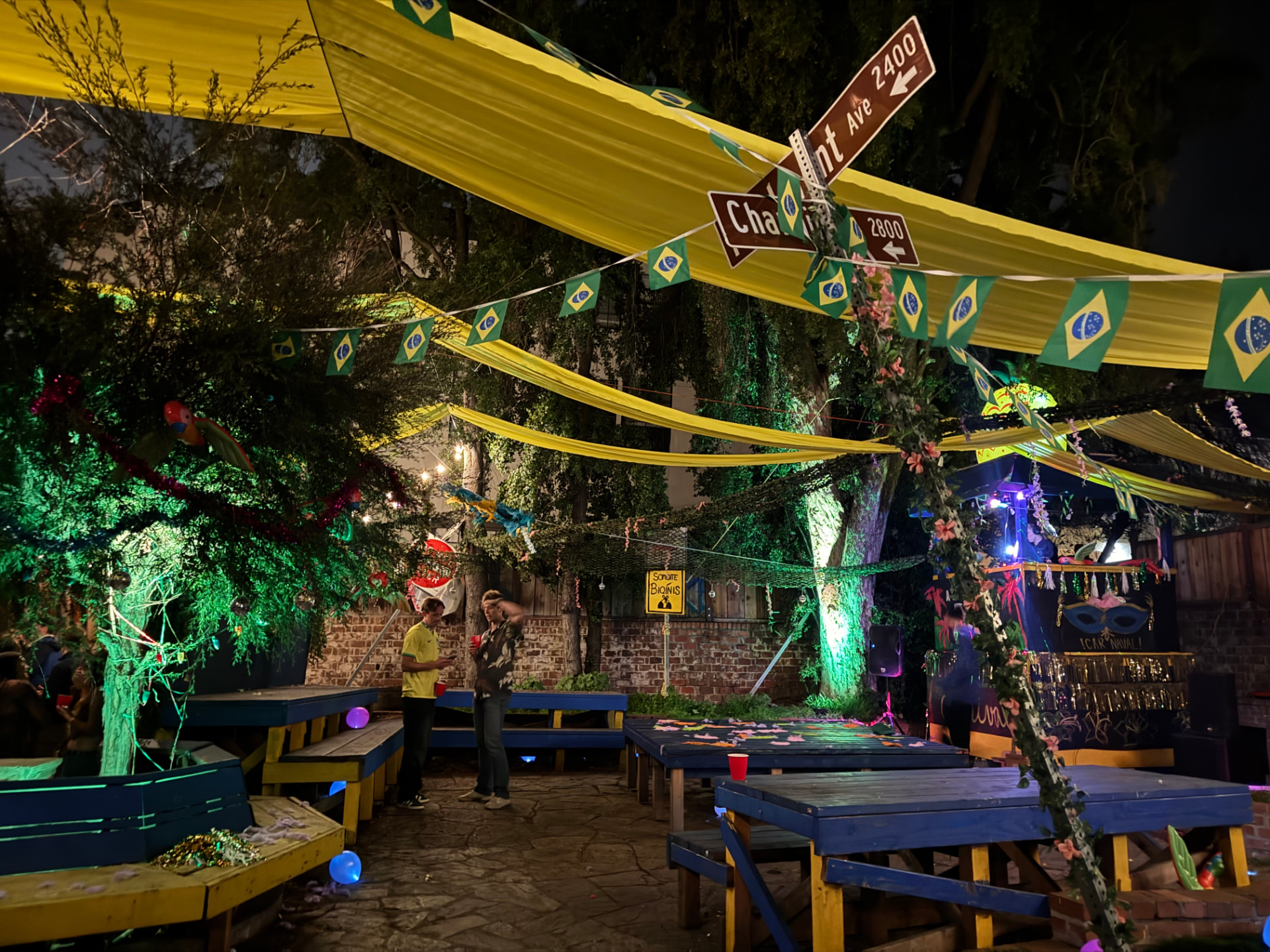 Night in Rio